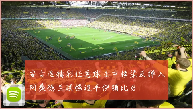 安古洛精彩任意球击中横梁反弹入网桑德兰顽强追平伊镇比分